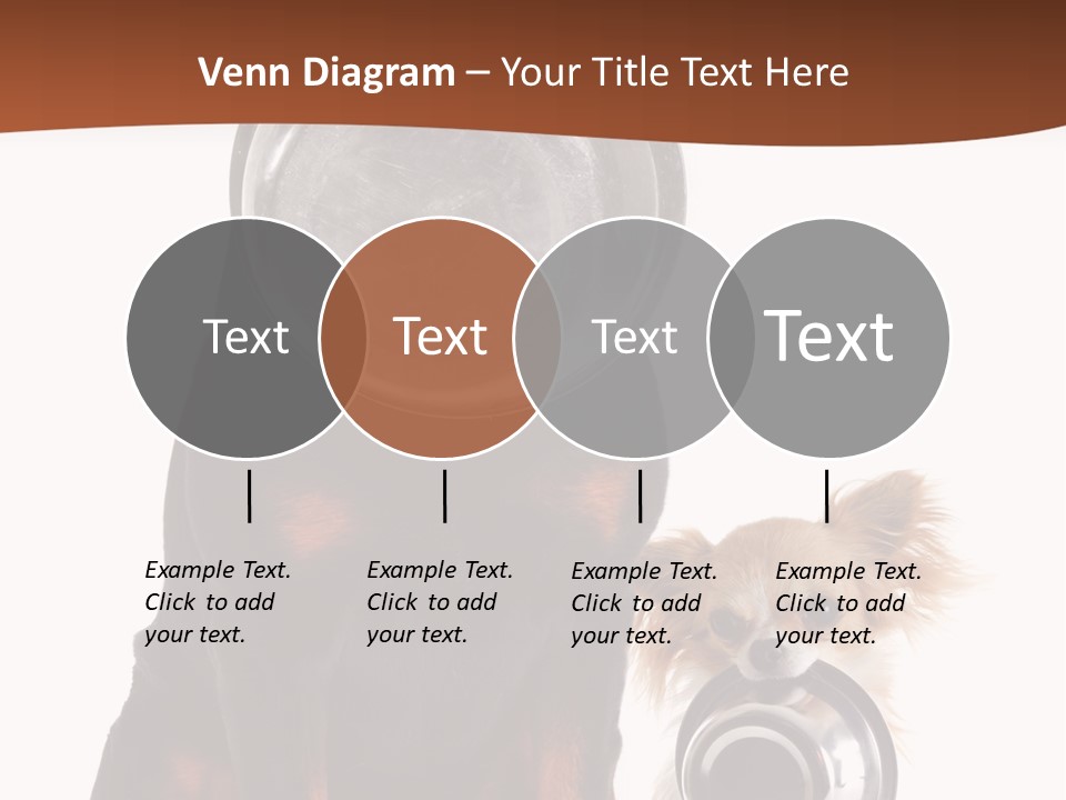 Pet Brown Cute PowerPoint Template