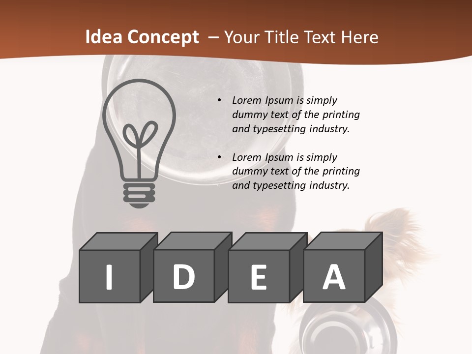 Pet Brown Cute PowerPoint Template
