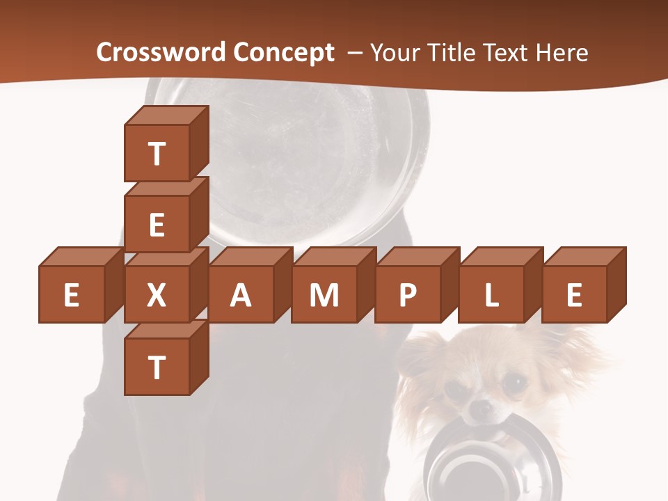 Pet Brown Cute PowerPoint Template