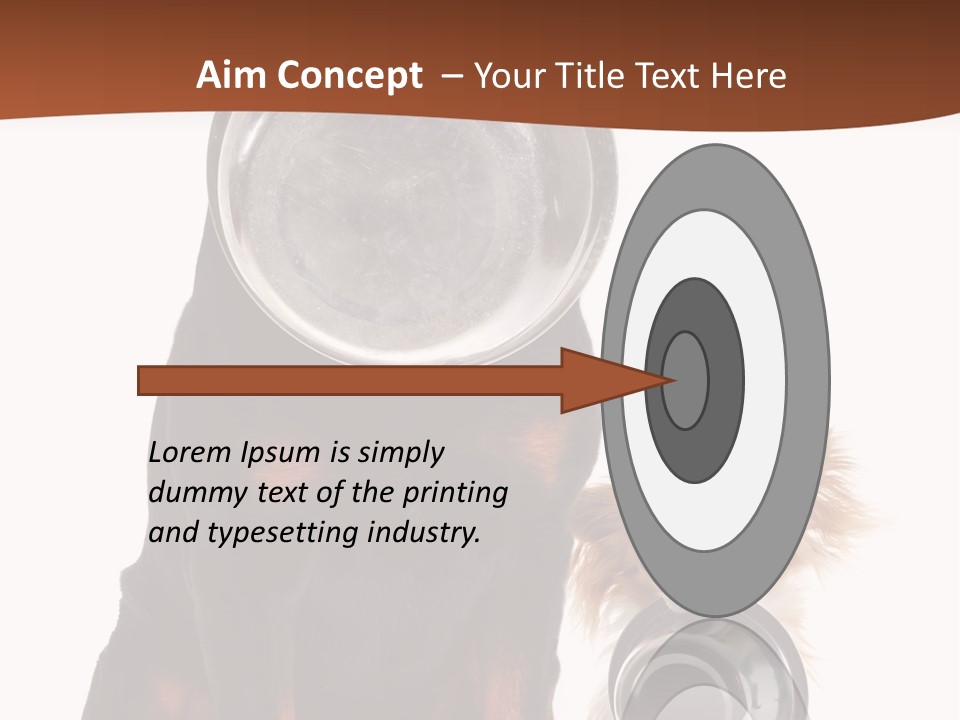 Pet Brown Cute PowerPoint Template