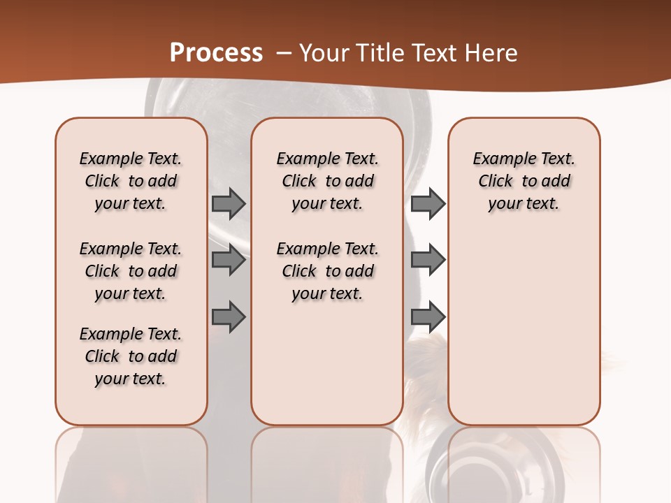 Pet Brown Cute PowerPoint Template