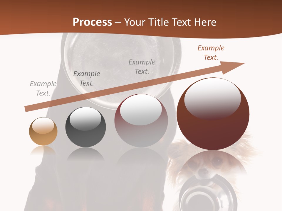 Pet Brown Cute PowerPoint Template