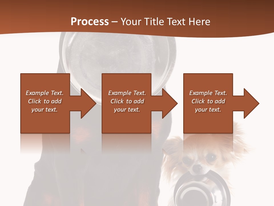 Pet Brown Cute PowerPoint Template