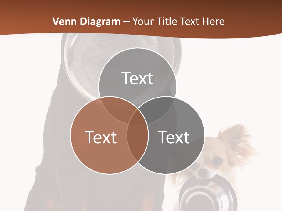 Pet Brown Cute PowerPoint Template