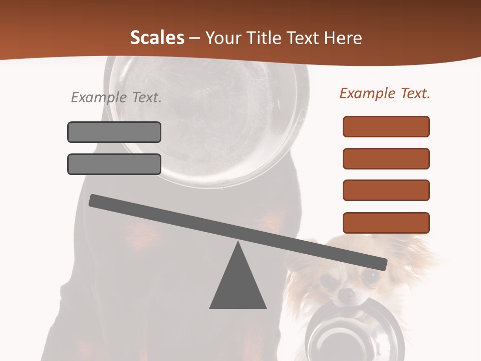 Pet Brown Cute PowerPoint Template