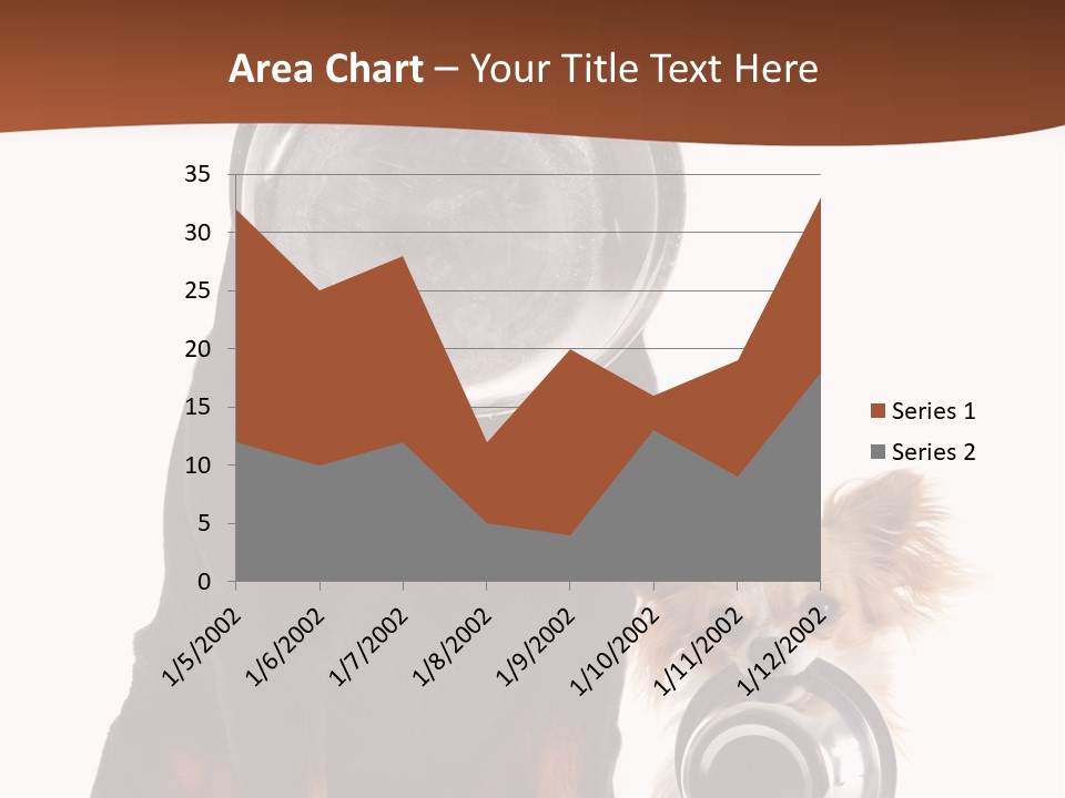 Pet Brown Cute PowerPoint Template