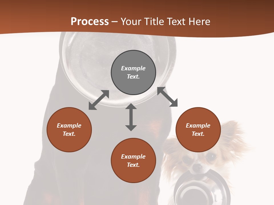 Pet Brown Cute PowerPoint Template