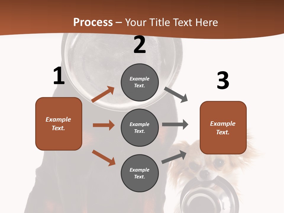 Pet Brown Cute PowerPoint Template