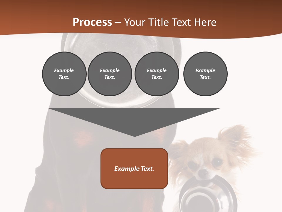 Pet Brown Cute PowerPoint Template