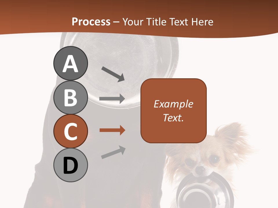 Pet Brown Cute PowerPoint Template