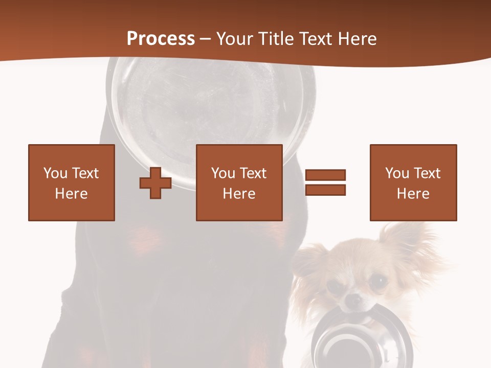 Pet Brown Cute PowerPoint Template