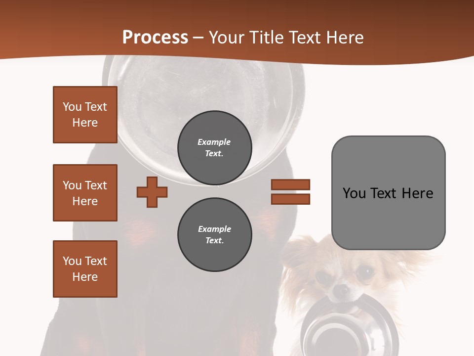 Pet Brown Cute PowerPoint Template