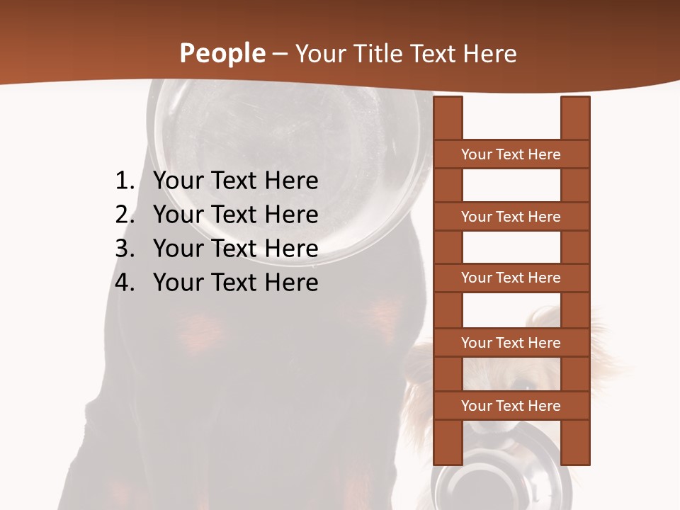 Pet Brown Cute PowerPoint Template