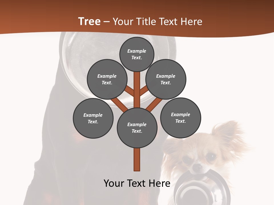 Pet Brown Cute PowerPoint Template