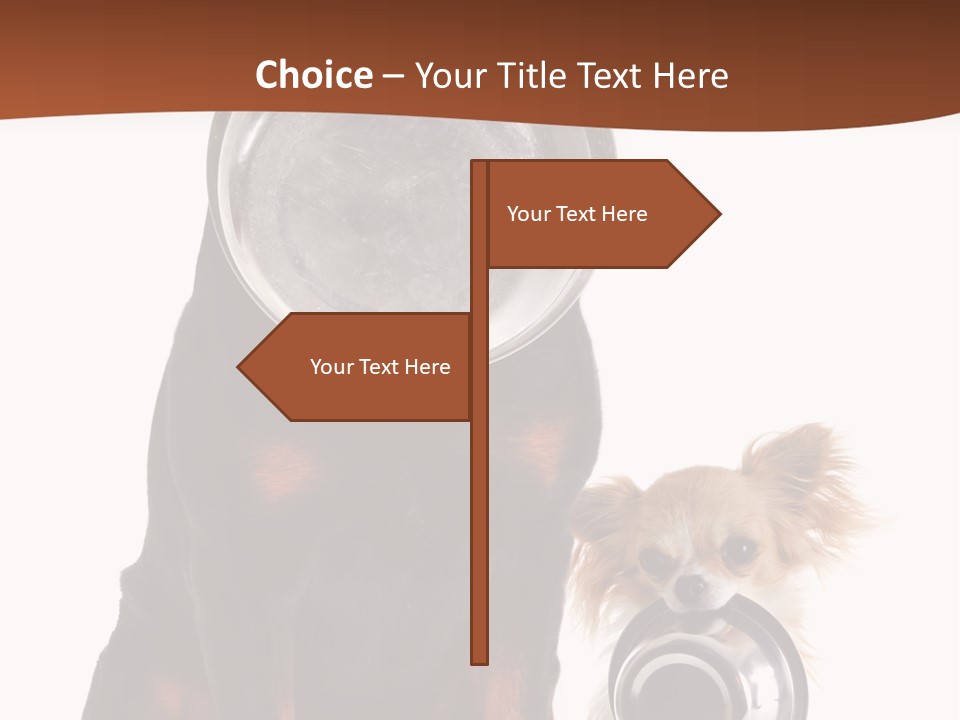 Pet Brown Cute PowerPoint Template