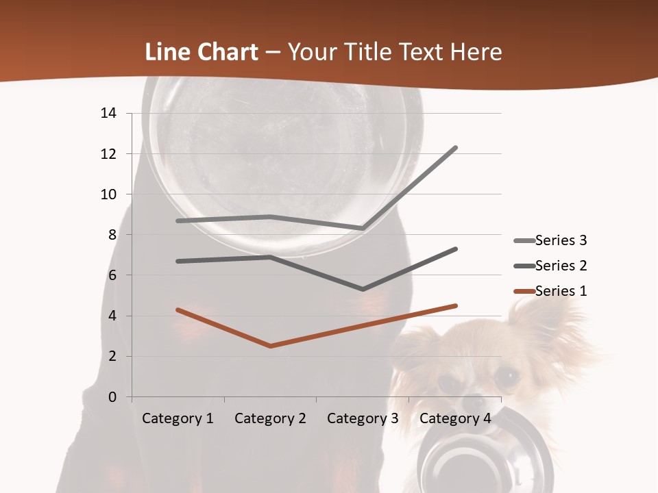 Pet Brown Cute PowerPoint Template