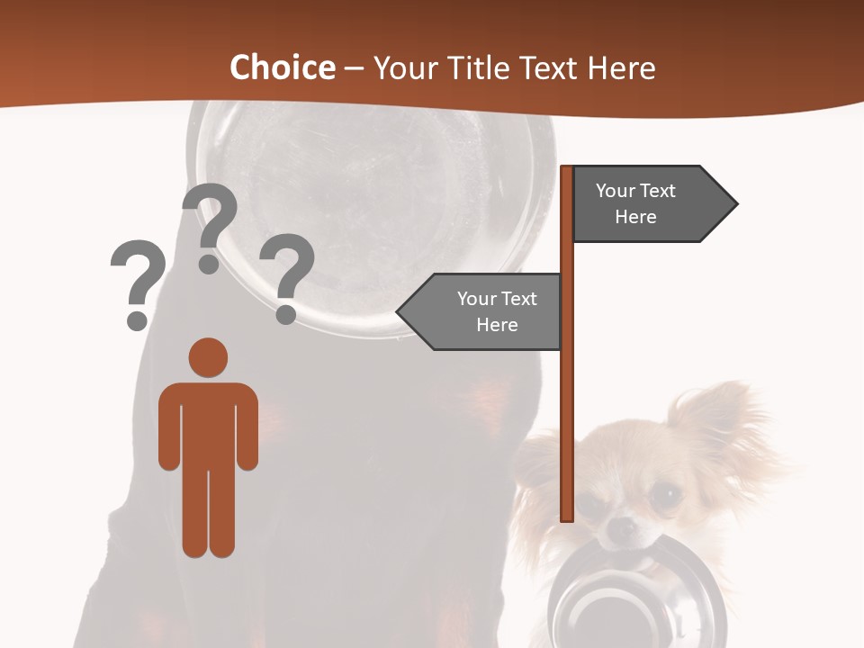 Pet Brown Cute PowerPoint Template