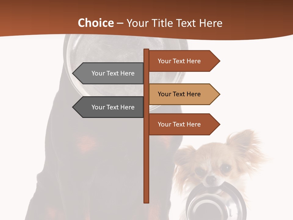 Pet Brown Cute PowerPoint Template