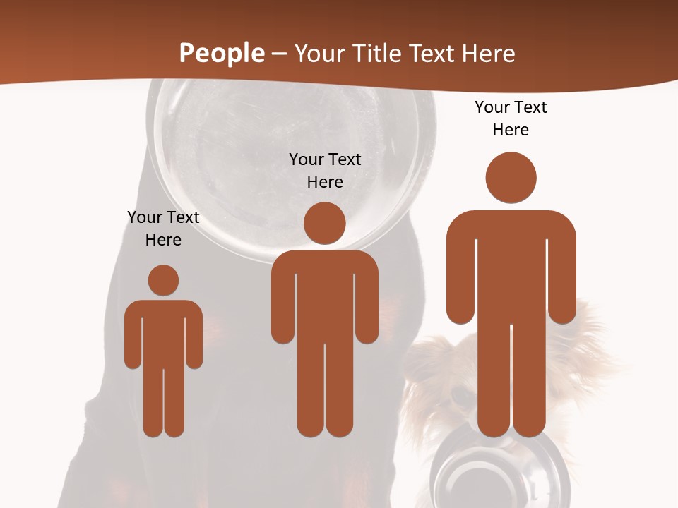 Pet Brown Cute PowerPoint Template