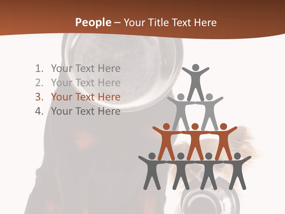 Pet Brown Cute PowerPoint Template