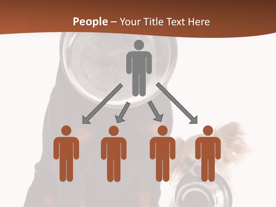 Pet Brown Cute PowerPoint Template