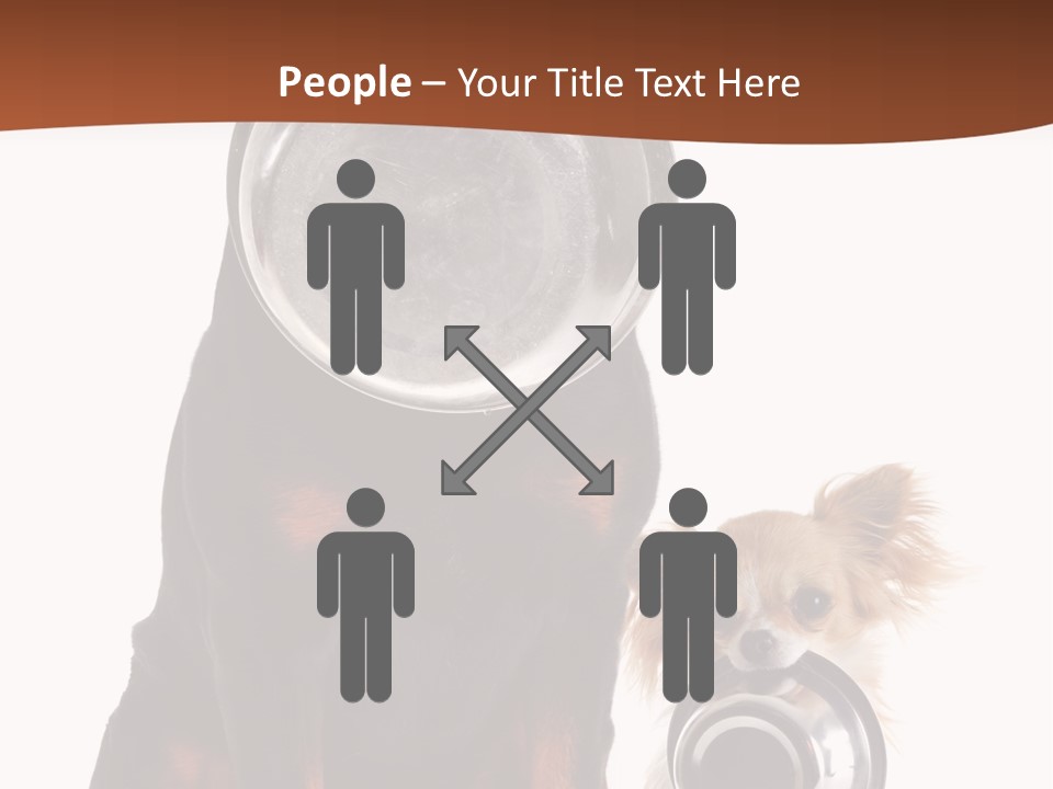 Pet Brown Cute PowerPoint Template