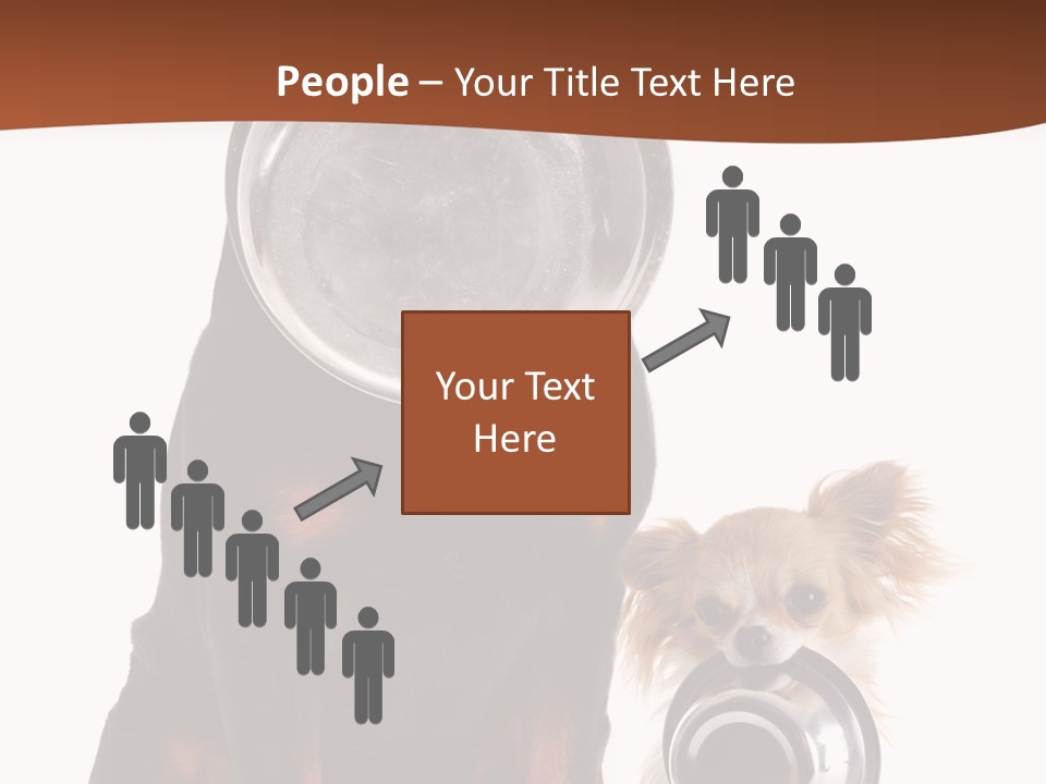 Pet Brown Cute PowerPoint Template