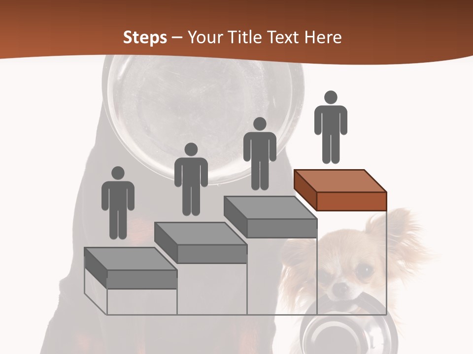 Pet Brown Cute PowerPoint Template
