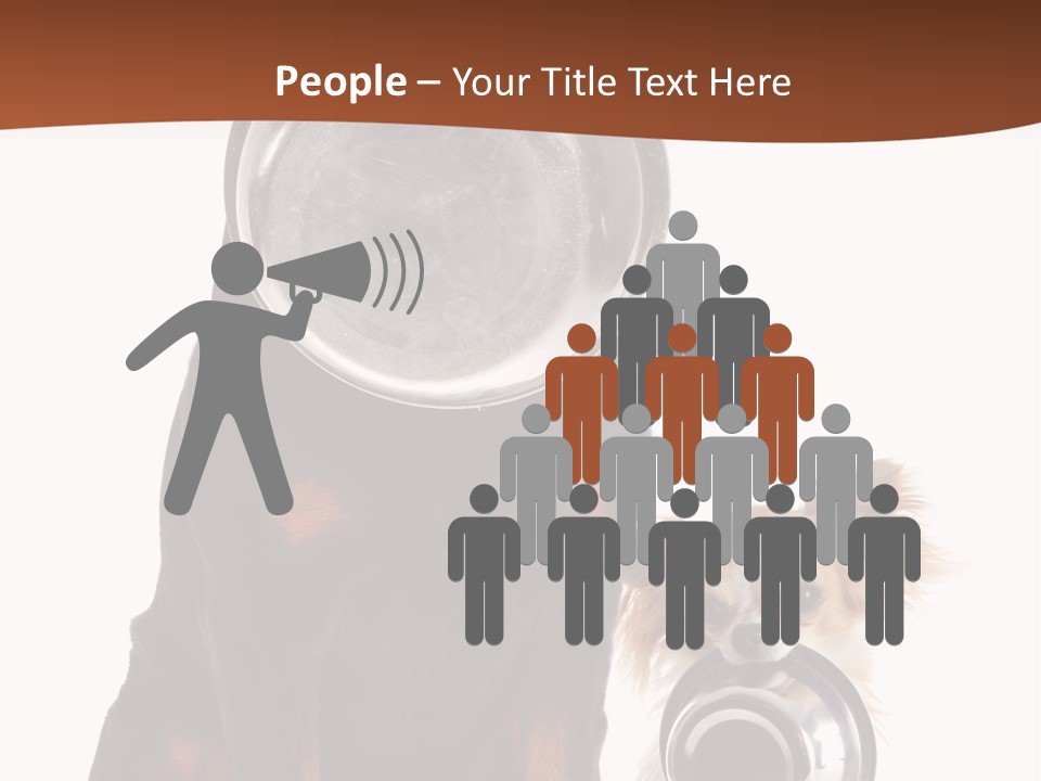 Pet Brown Cute PowerPoint Template