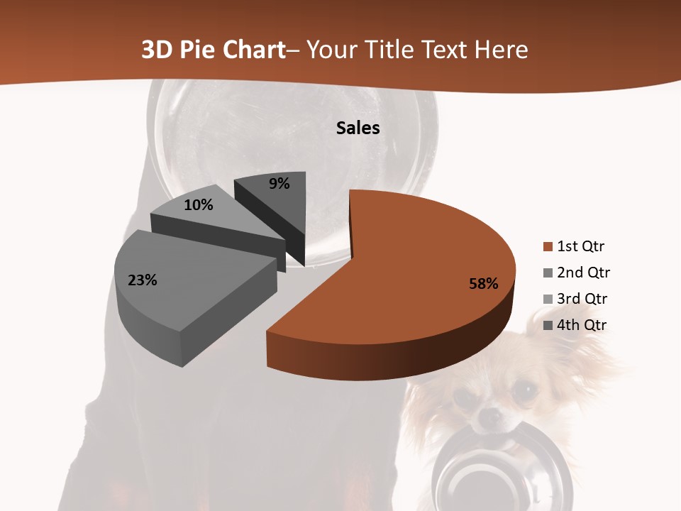 Pet Brown Cute PowerPoint Template