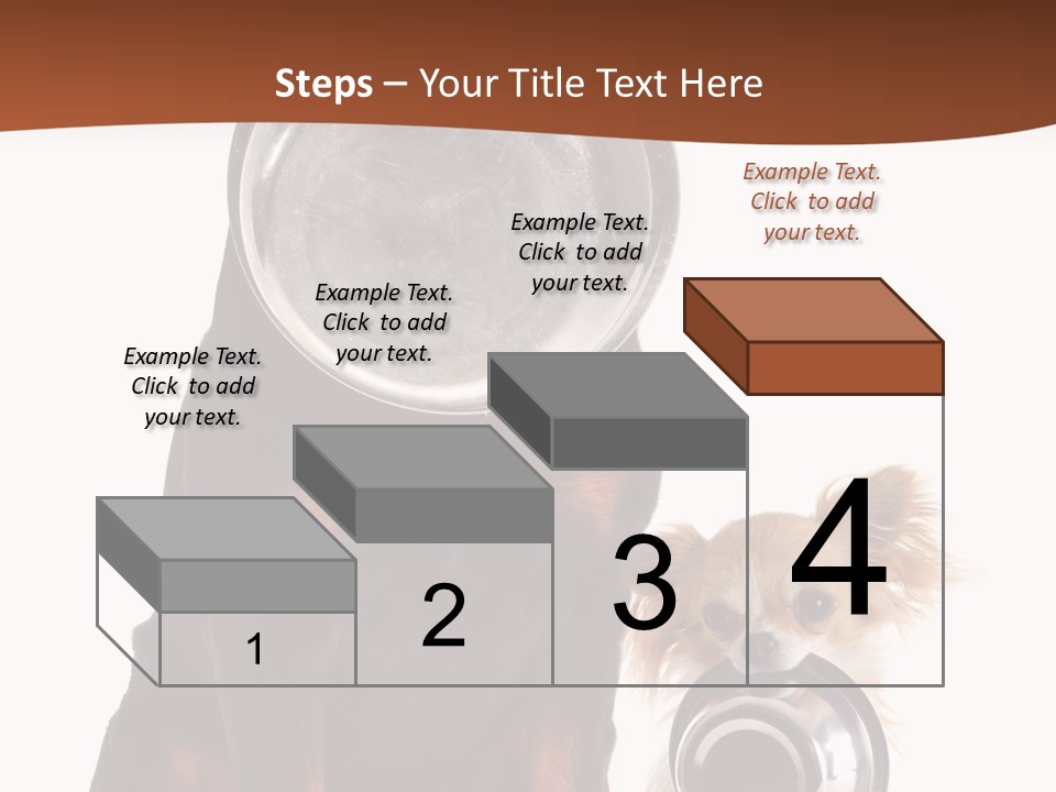 Pet Brown Cute PowerPoint Template