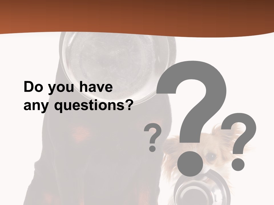 Pet Brown Cute PowerPoint Template