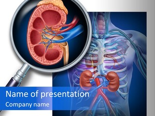 Arteries Details Science PowerPoint Template