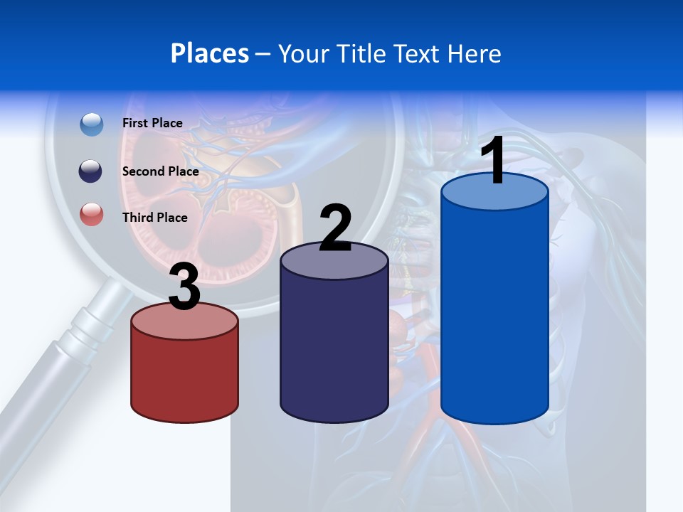 Arteries Details Science PowerPoint Template
