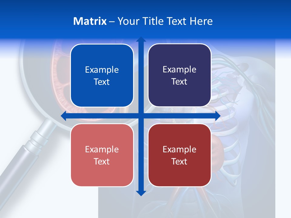 Arteries Details Science PowerPoint Template