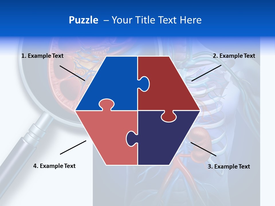 Arteries Details Science PowerPoint Template
