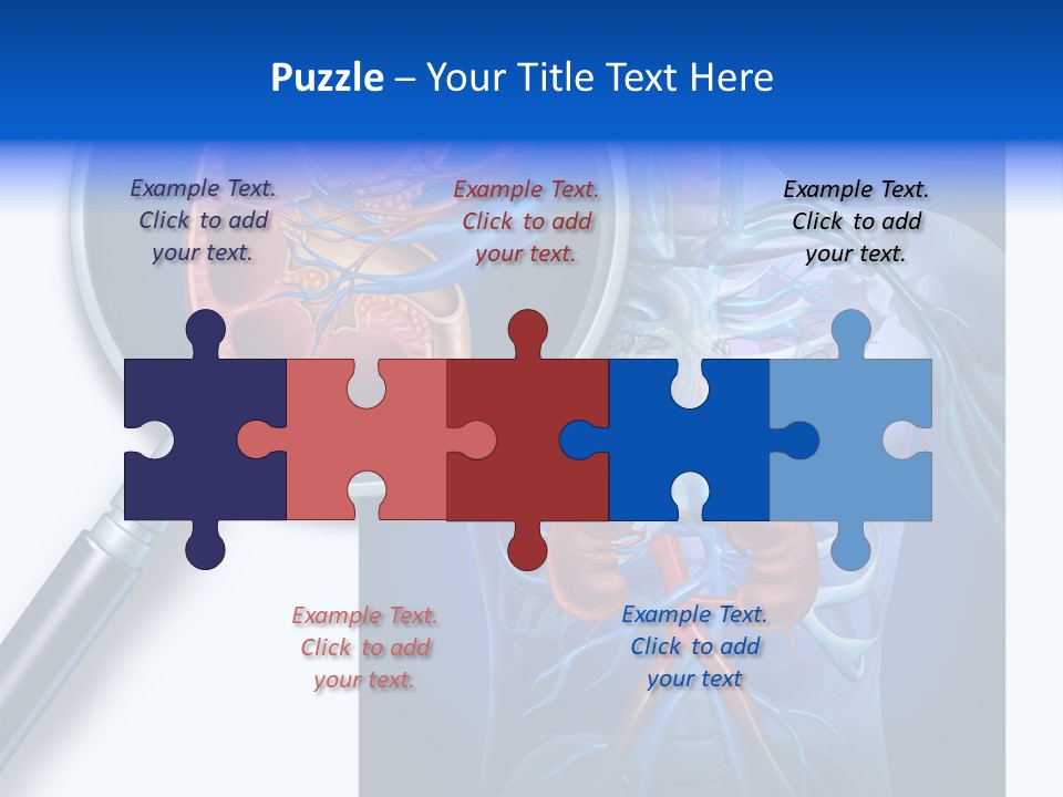 Arteries Details Science PowerPoint Template