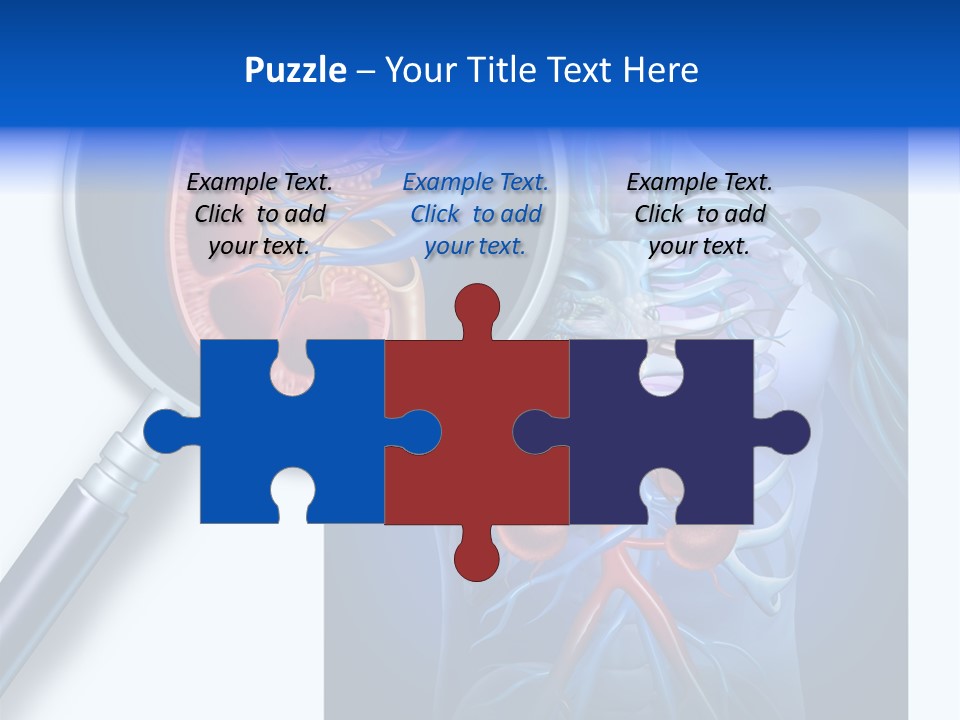 Arteries Details Science PowerPoint Template