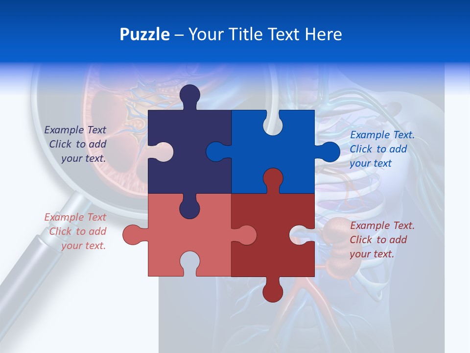 Arteries Details Science PowerPoint Template