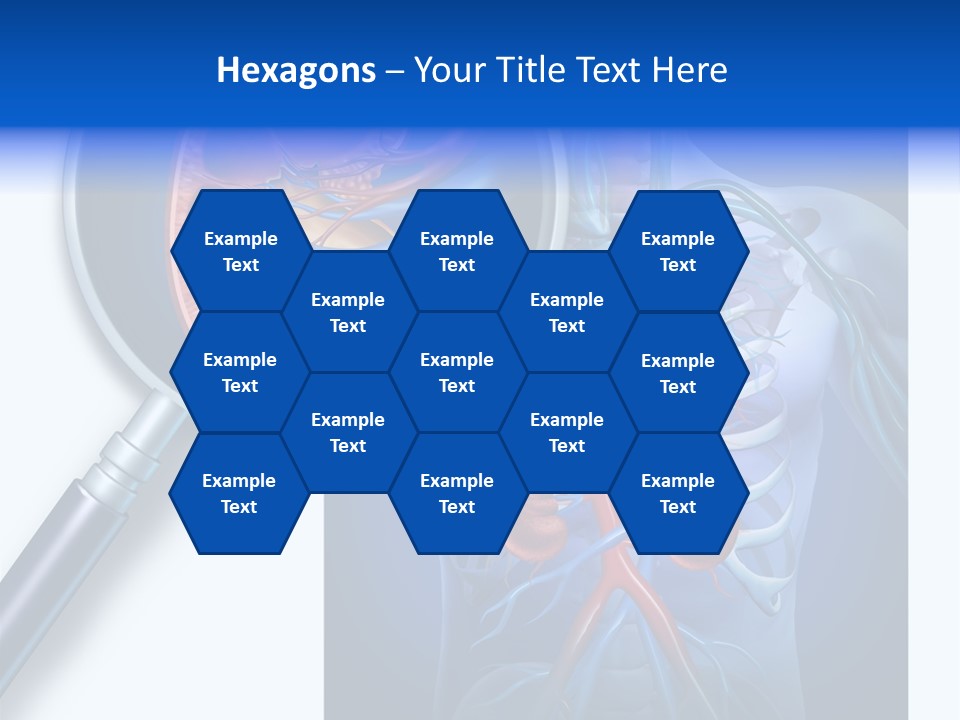 Arteries Details Science PowerPoint Template