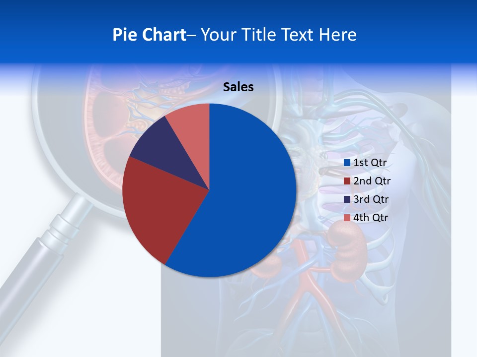 Arteries Details Science PowerPoint Template