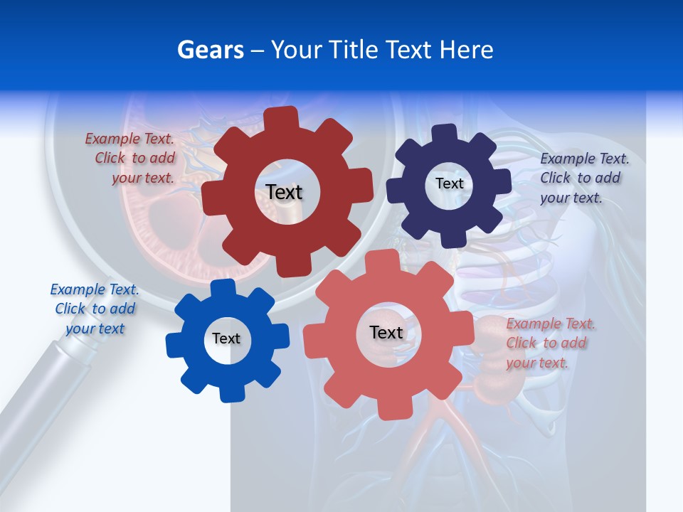 Arteries Details Science PowerPoint Template