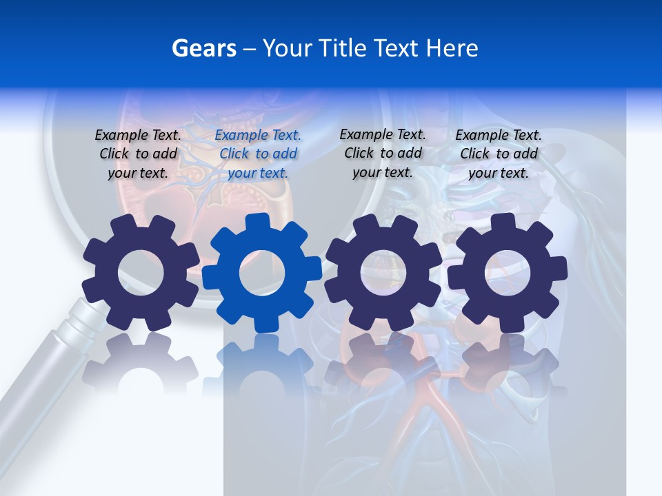 Arteries Details Science PowerPoint Template