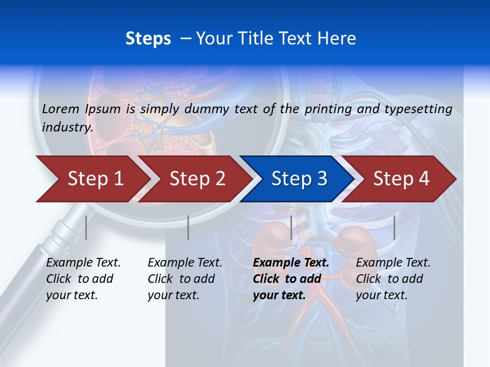 Arteries Details Science PowerPoint Template