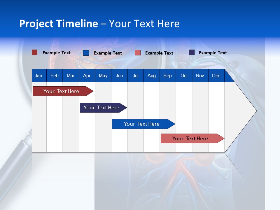 Arteries Details Science PowerPoint Template