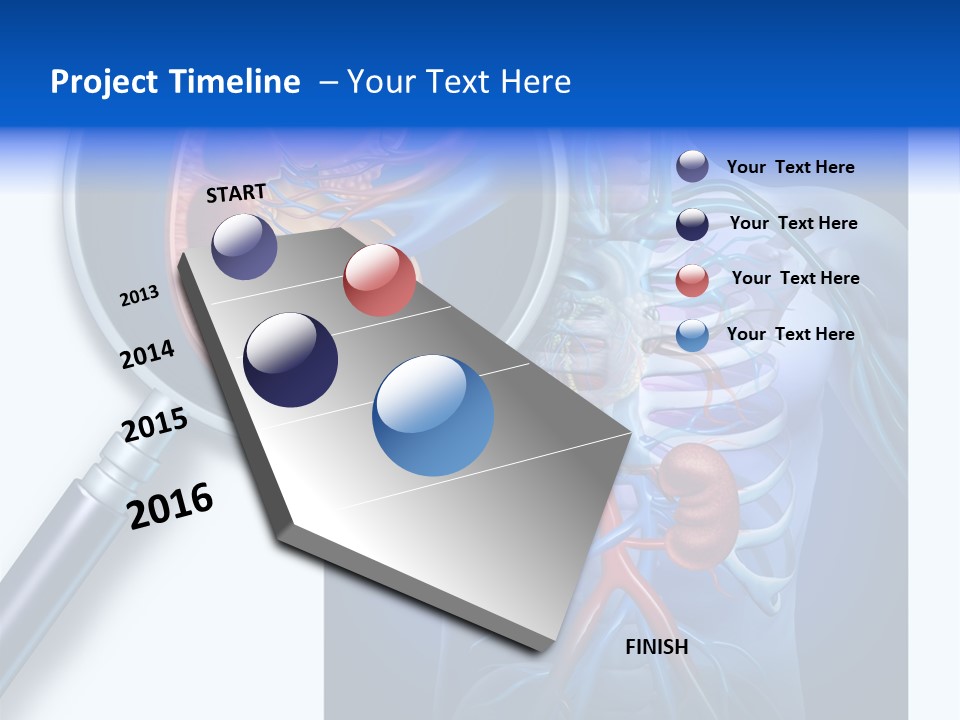 Arteries Details Science PowerPoint Template