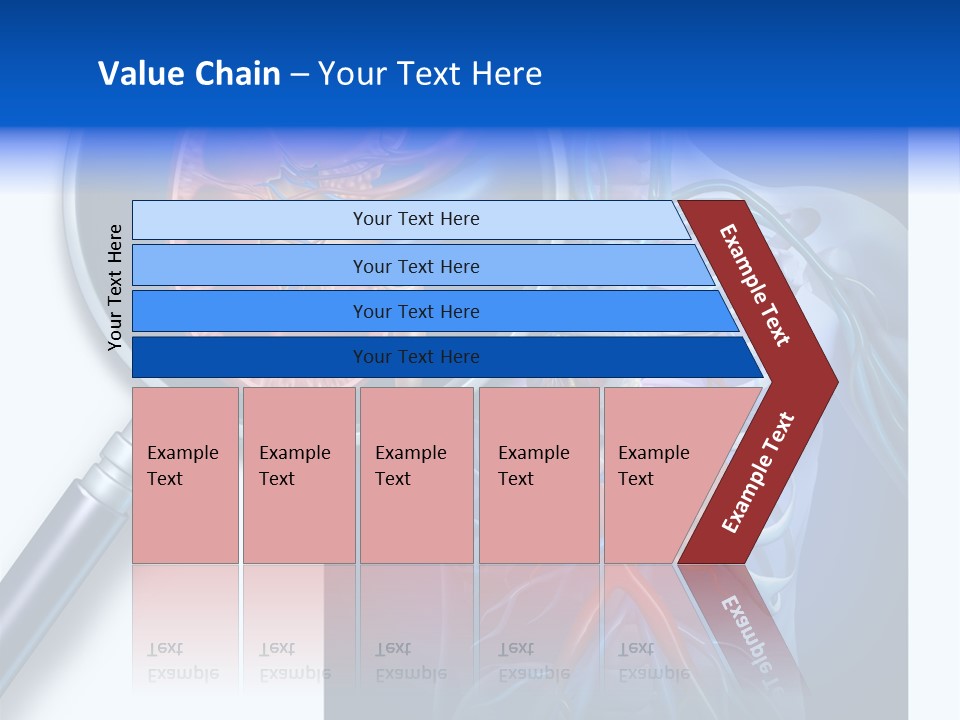 Arteries Details Science PowerPoint Template