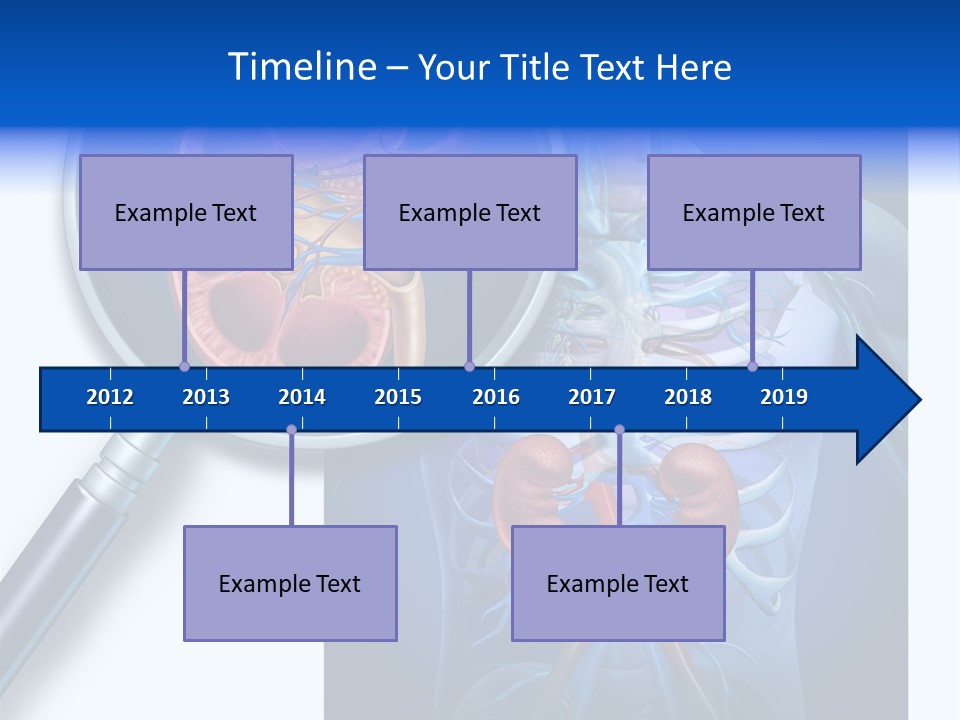 Arteries Details Science PowerPoint Template