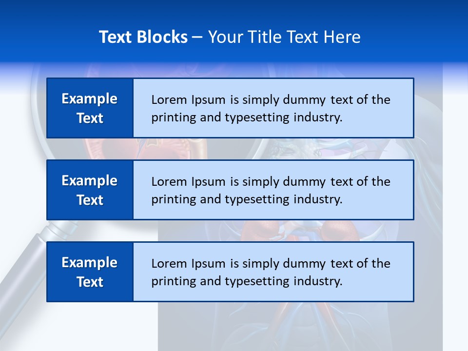 Arteries Details Science PowerPoint Template