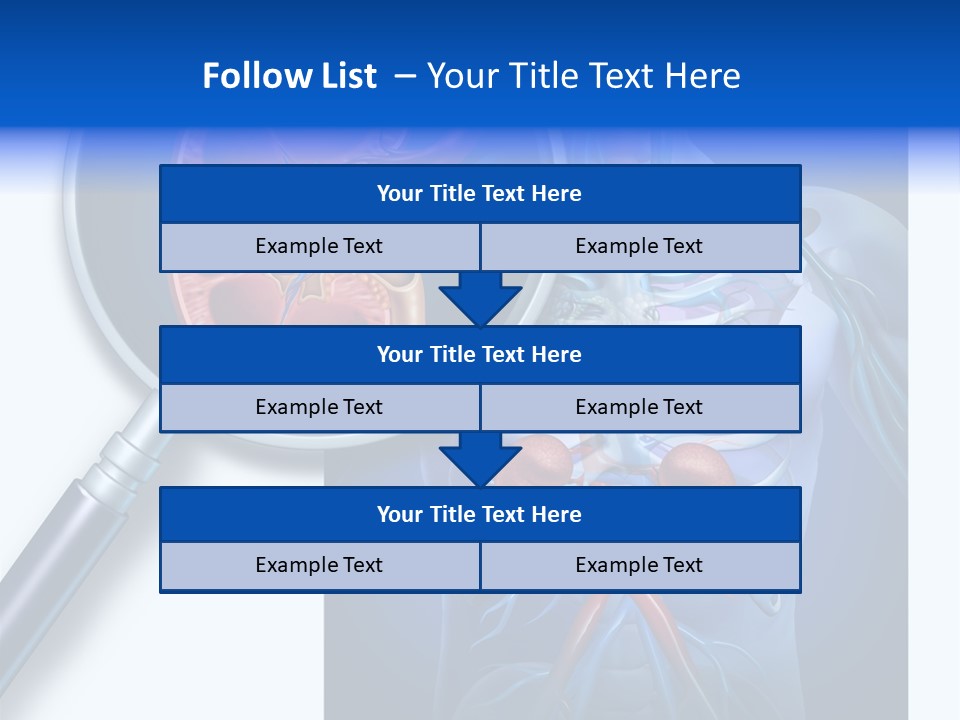 Arteries Details Science PowerPoint Template